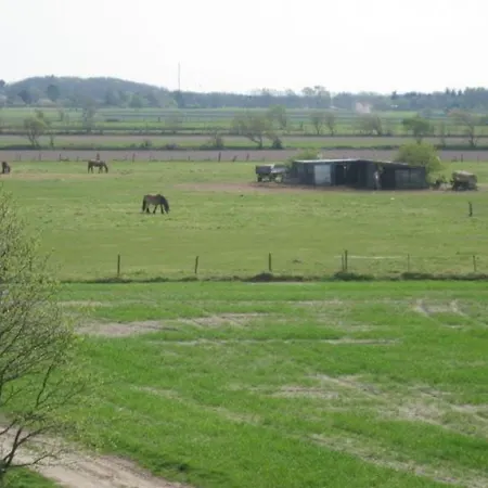 Apartment Vogelsand 348 *